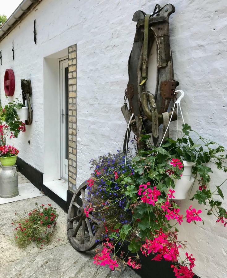 Gasthaus La Ferme Wessiere Oye-Plage Exterior foto
